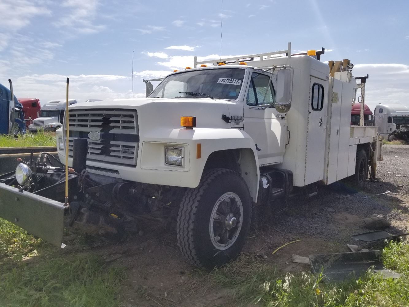 Ford  F800