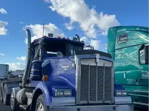 Salvage 1995 Kenworth W900 - 102725