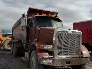 Salvage 1995 Peterbilt 378 - 31926