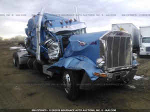 Salvage 1999 Peterbilt 379 - 20519