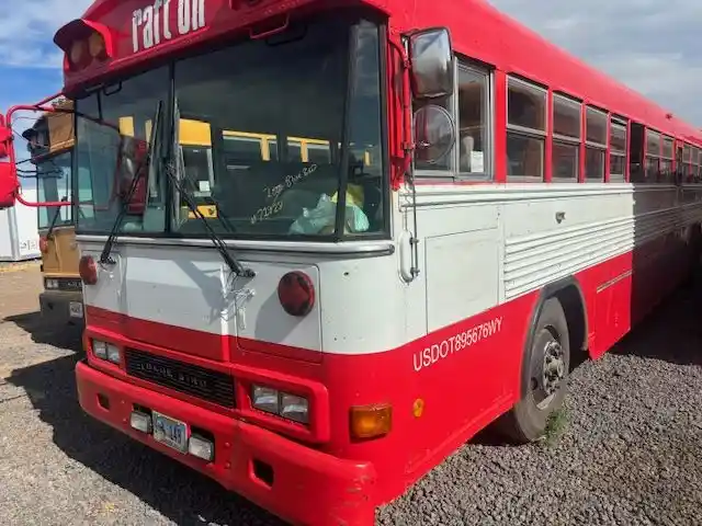 Blue Bird  Bluebird School Bus