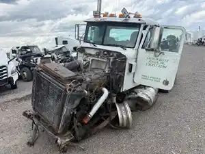 Salvage 2002 Peterbilt 378 - 51425