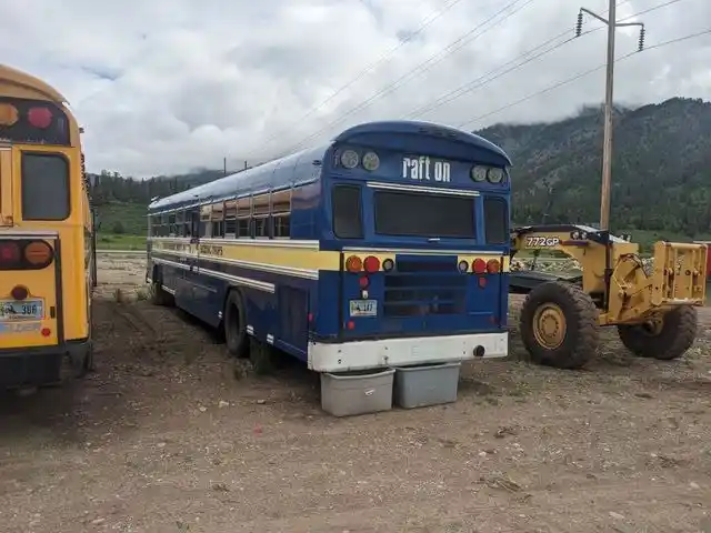 Blue Bird  Bluebird School Bus