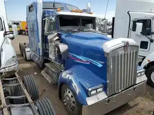 Salvage 2006 Kenworth W900 - 51525