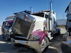Salvage 2006 Kenworth W900 - 12625