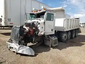 Salvage 2008 Peterbilt 384 - 101224