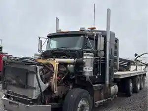 Salvage 2009 Kenworth T800 - 22826