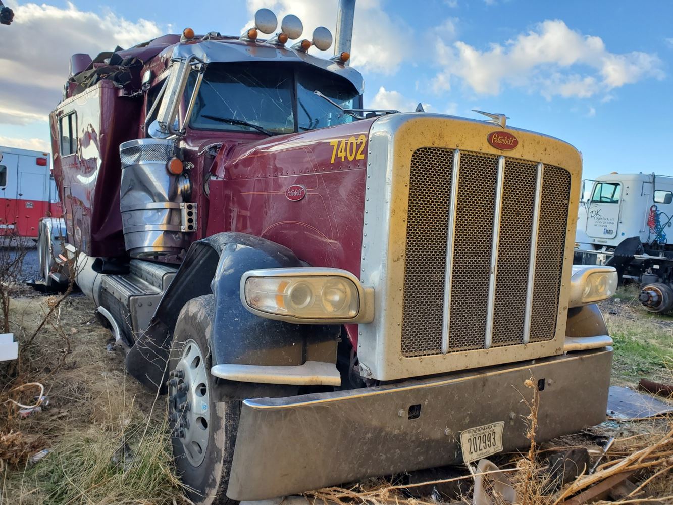 Peterbilt  389