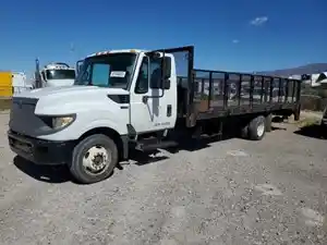 Salvage 2017 International TERRASTAR - 103025