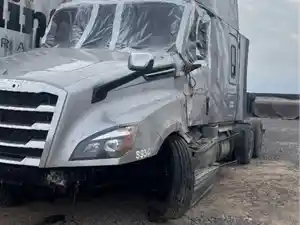 Salvage 2020 Freightliner Cascadia 126 - 111225