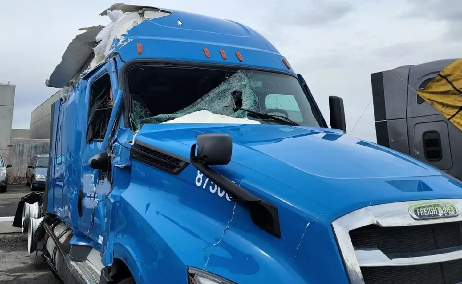 Freightliner  Cascadia 126