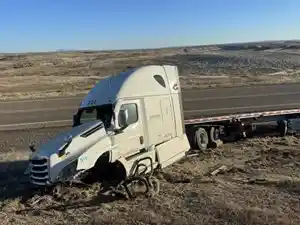 Salvage 2021 Freightliner Cascadia 126 - 52426