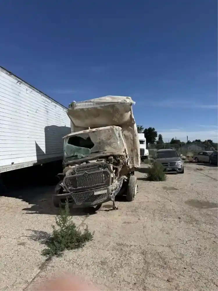 International  MV607
