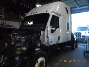 Salvage 2014 Freightliner Cascadia - FZ7698