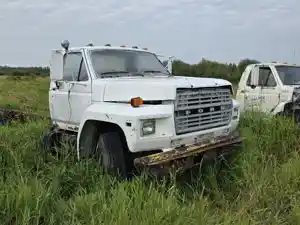 Salvage 1983 Ford F800 - 3931-FORD