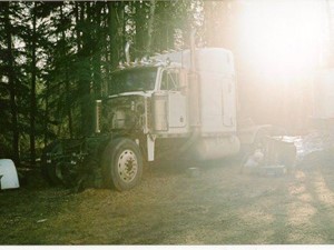Salvage 1995 Peterbilt 379 - 1585-PETE