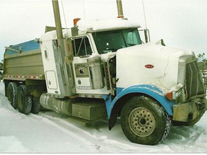 Salvage 2004 Peterbilt 378 - 1849-PETE
