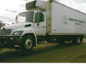Salvage 2008 Hino T308 - 3192-HINO 