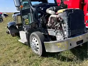 Salvage 2010 Peterbilt 384 - SV-428