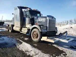 Salvage 2006 Kenworth W900 - PTP-238