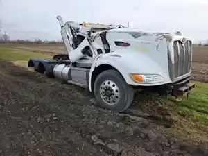 Salvage 2008 Peterbilt 386 - PTP-263