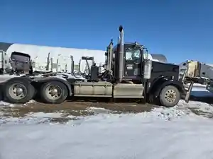 Salvage 2009 Kenworth W900 - PTP-273