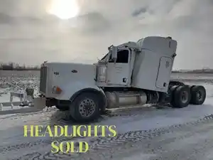 Salvage 2019 Peterbilt 367 - PTP-236