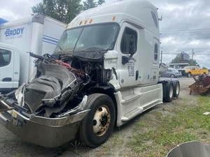 Salvage 2014 Freightliner Cascadia 125 - F56384