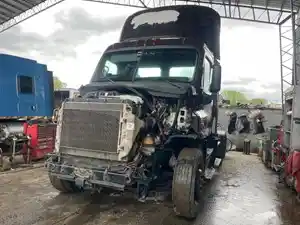Salvage 2017 Freightliner Cascadia 113 - K38529