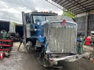 Salvage 2018 Kenworth W900 - K38528