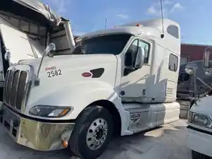 Salvage 2009 Peterbilt 387 - SV-726