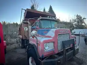 Salvage 1981 Mack DM685S - MAC81-5381-CTP