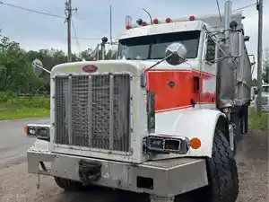 Salvage 1994 Peterbilt 357 - PET94-4547-CTP