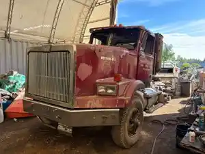 Salvage 1994 Western Star 4900 - WES94-5373-CTP