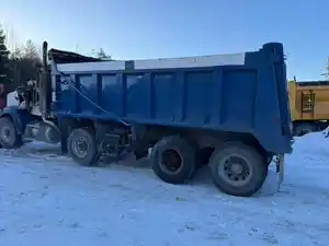 Salvage 2007 Peterbilt 378 - PET07-5795-CTP