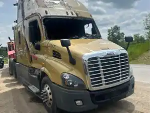 Salvage 2017 Freightliner Cascadia 132 - FRE17-5182-CTP