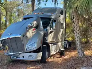 Salvage 2014 Peterbilt 587 - 164