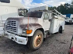 Salvage 1999 Ford F800 - 2148