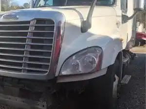Salvage 2012 Freightliner Cascadia 125 - 1899