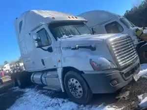 Salvage 2012 Freightliner Cascadia 125 - 2226