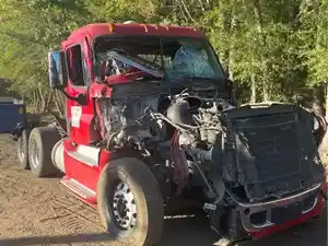 2013 Freightliner Cascadia 125 Truck for Parts (Stock #1992)) Part Image