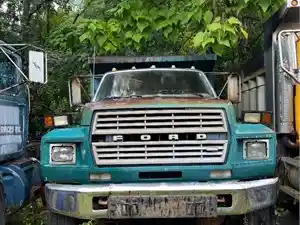 1984 Ford F800 Truck for Parts (Stock #128)) Part Image