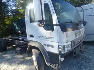 Salvage 2006 Ford LOW CAB FORWARD - TF025