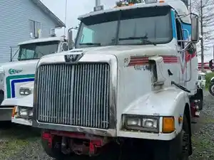 Salvage 1999 Western Star 5800 - WSTAR-323
