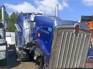 Salvage 2014 Kenworth W900 - KW-105