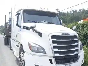 Salvage 2018 Freightliner Cascadia 126 - FL-424