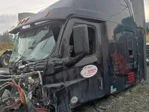 Salvage 2019 Freightliner Cascadia 126 - FL-409