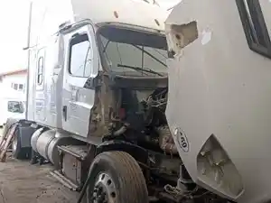 Salvage 2019 Freightliner Cascadia 126 - FL-420
