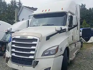 Salvage 2019 Freightliner Cascadia 126 - FL-404