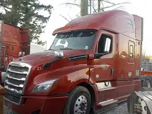 Salvage 2019 Freightliner Cascadia 126 - FL-416